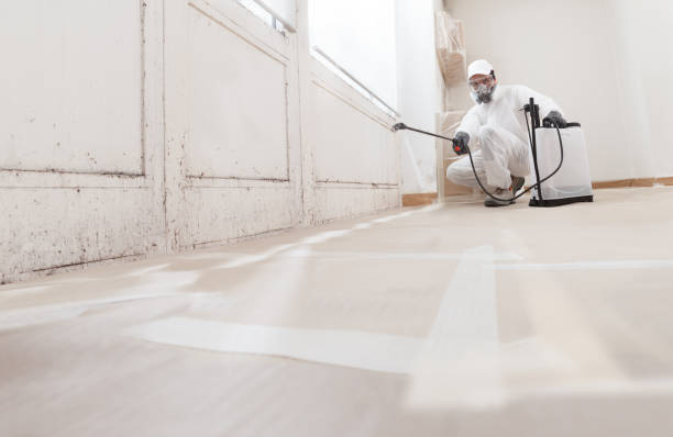 24/7 Emergency Basement Mold Remediation experts in Saint Charles, IL